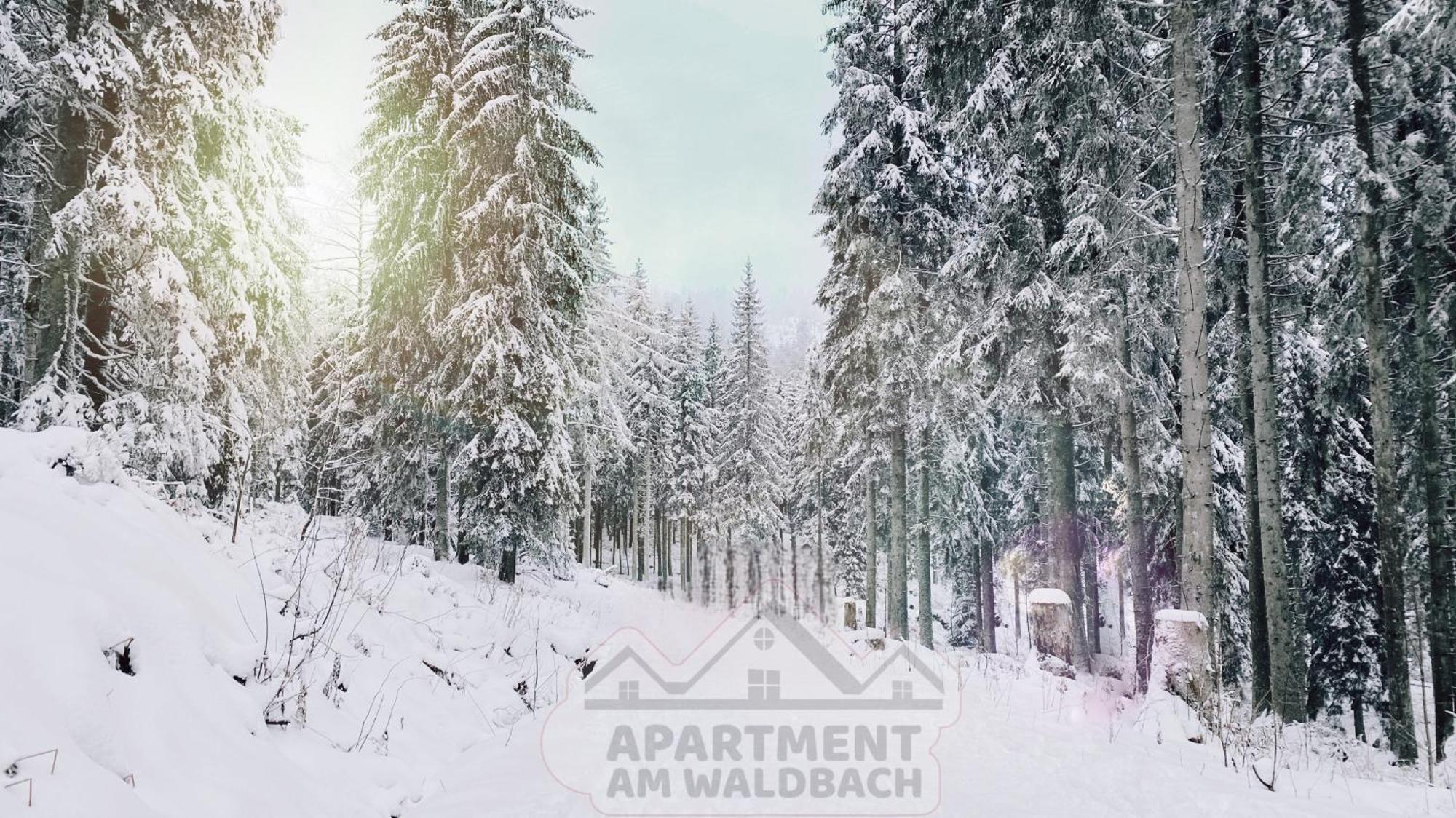 Apartment Am Waldbach غرنباخ المظهر الخارجي الصورة